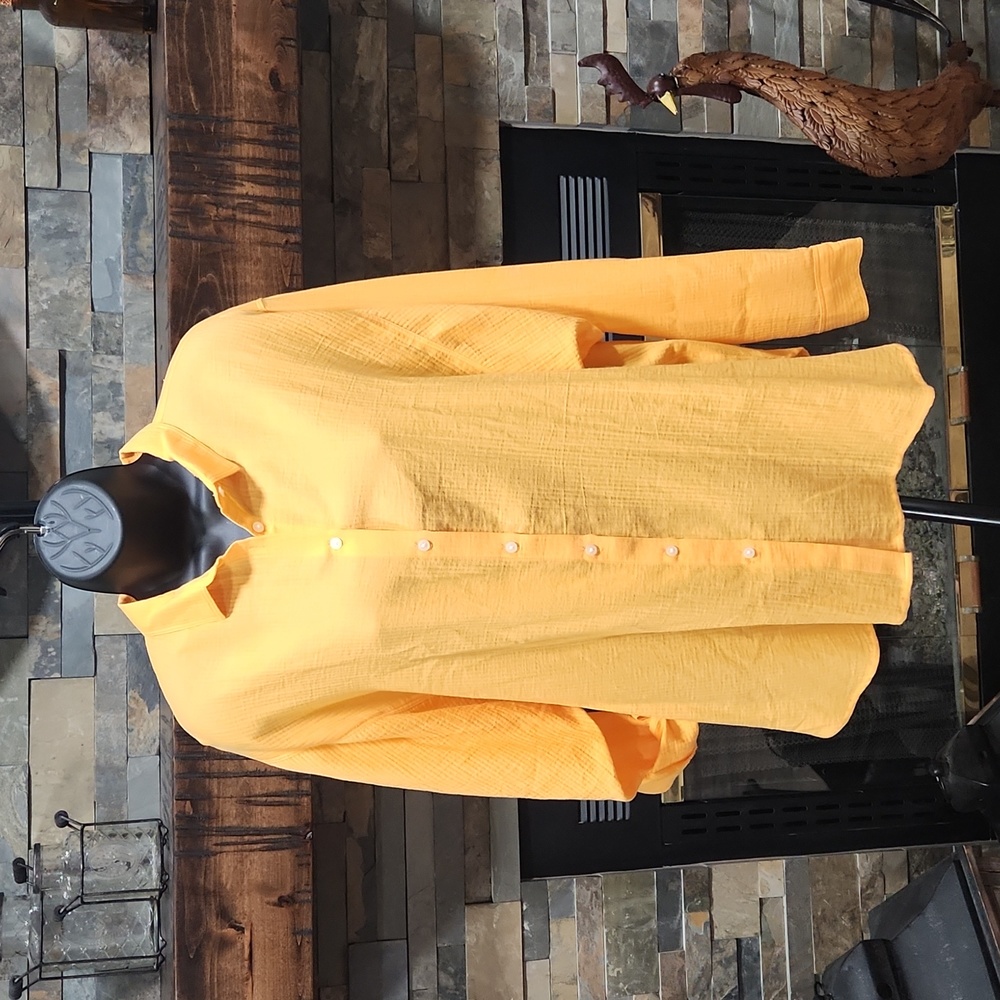 NWT LOFT Oversized button-up shirt